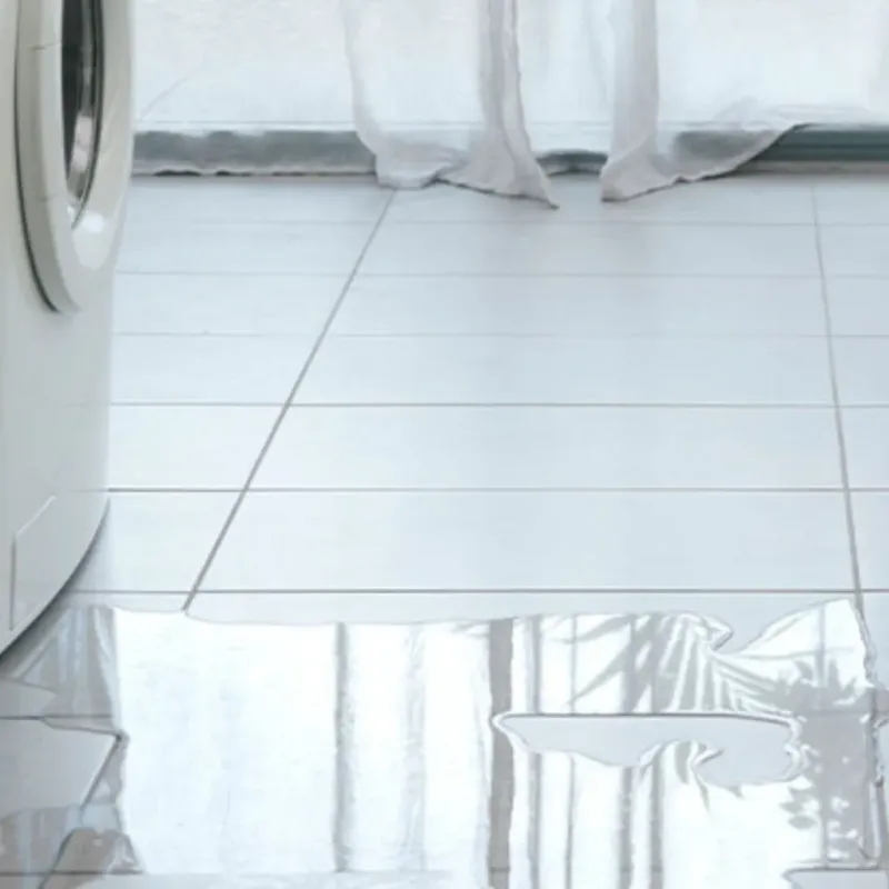 Appliance Leak Cleanup in Southern Shores, NC