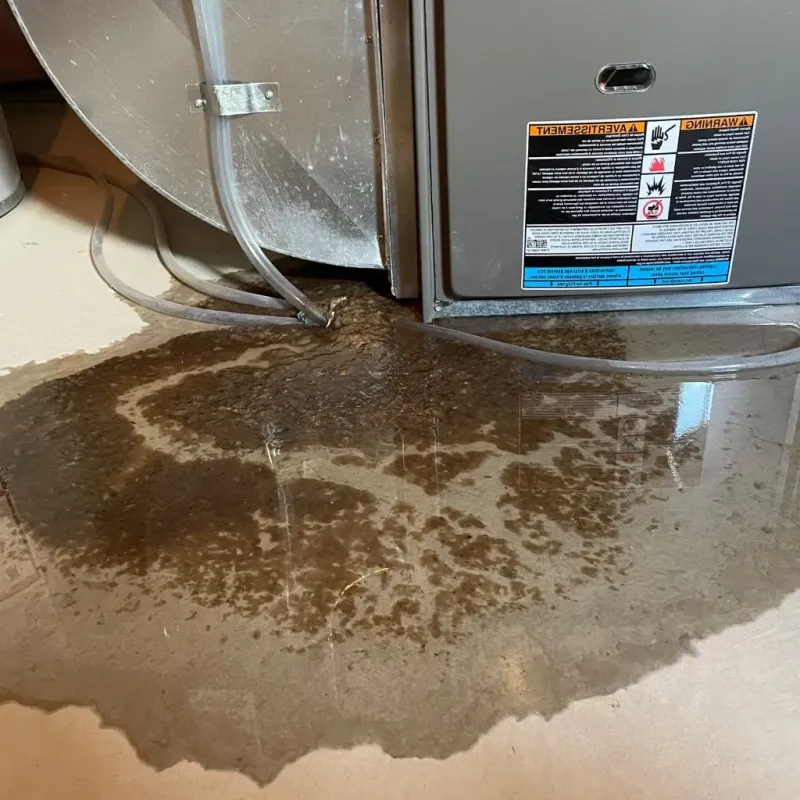 Pipe Burst and Leak Restoration in Southern Shores, NC